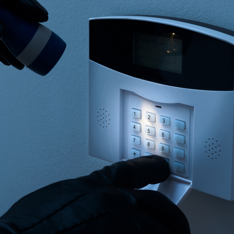 Commercial intrusion detection and burglar alarm system installation